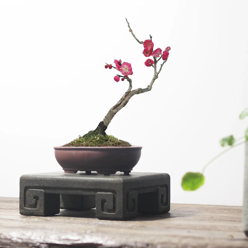 四方回纹青石底座盆景花托茶道紫檀摆件托古玩茶炉垫中式复古石案