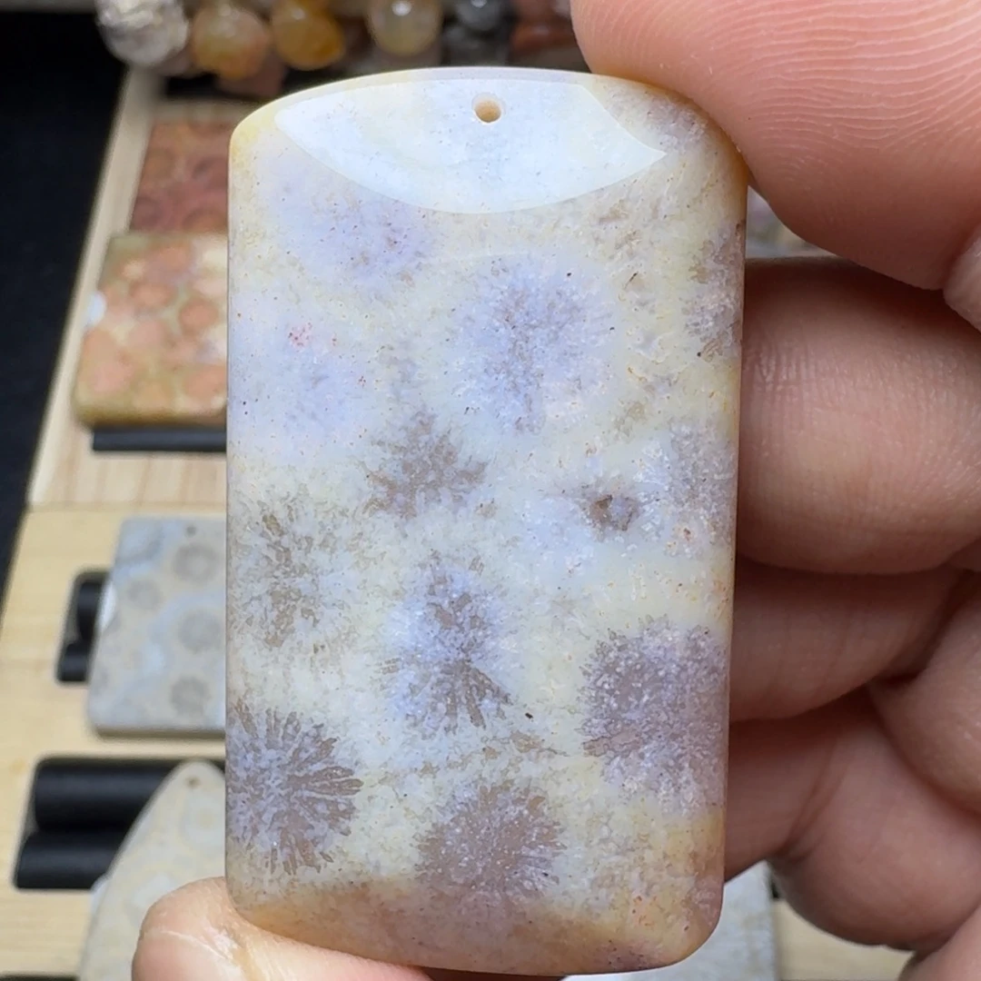 硅化珊瑚（珊瑚玉）未镶嵌纯天然色有机玉石保真色