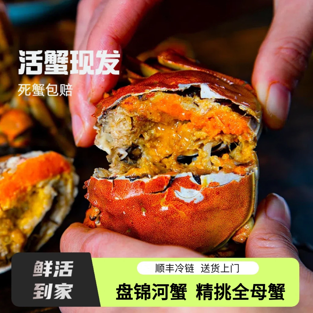 【活蟹】盘锦河蟹 盘锦稻田蟹 全母蟹 1.0-1.3两 20只 多仓发货 河蟹 顺丰空运次日达
