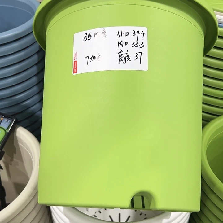 正品8号四季口39.4高37果绿无托3只