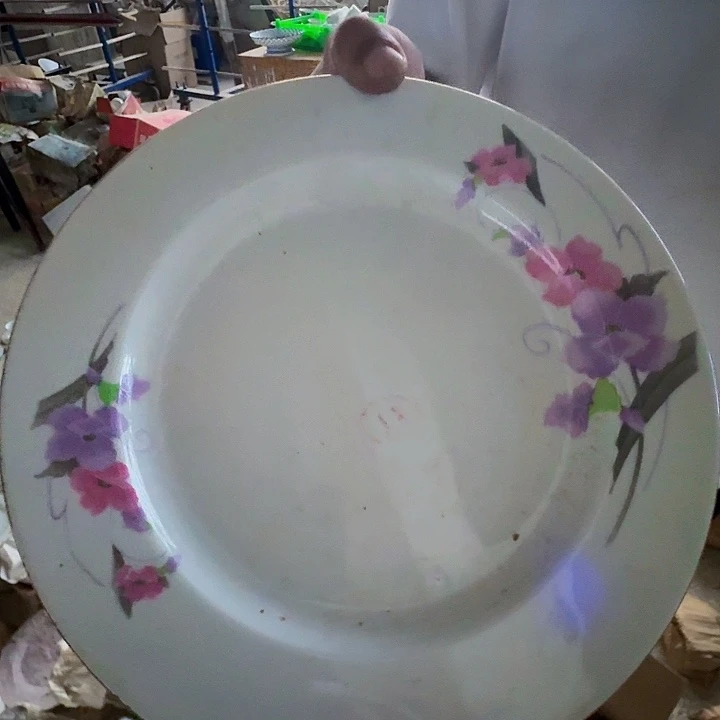 景德镇高温陶瓷牵牛花10寸平盘1个