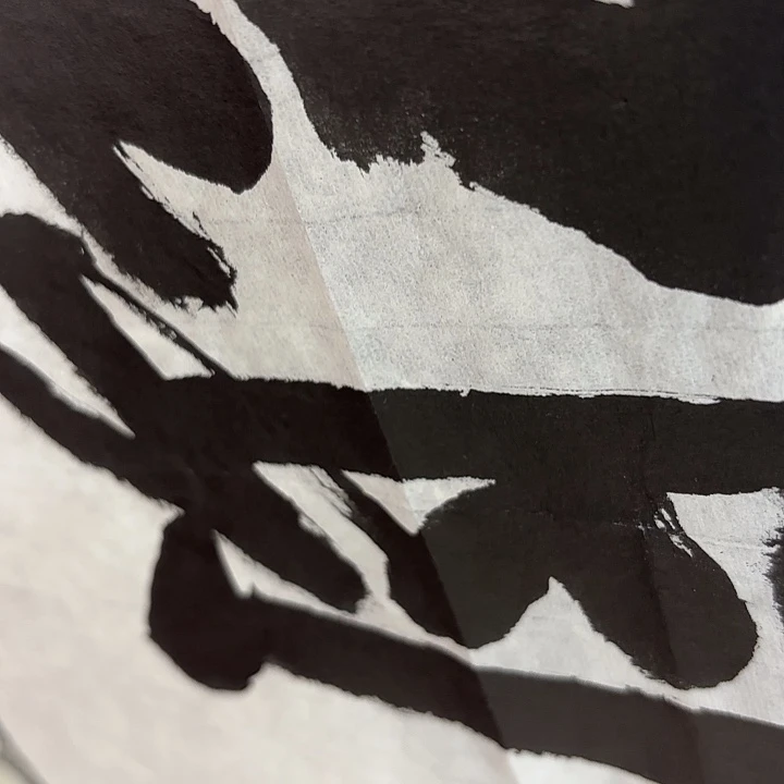 窗***蝉书法老师书法作品