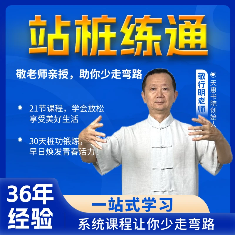 【苹果专属】站桩入门到练通，36年经验指导少走弯路