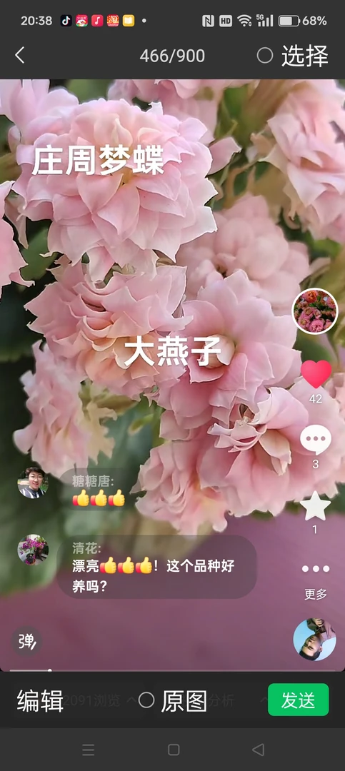 庄周梦蝶，真的像蝴蝶一样翩翩起舞，仙气飘飘呀