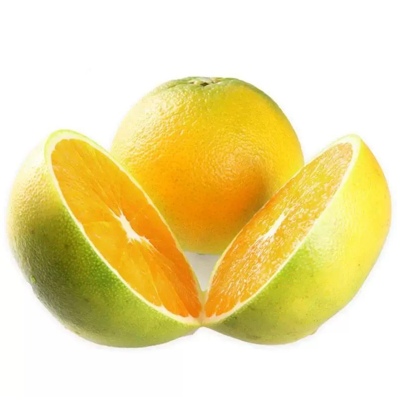 新鲜水果阳光橙云南玉溪冰糖橙绿皮礼盒装橙子非褚橙多地顺丰WPHA