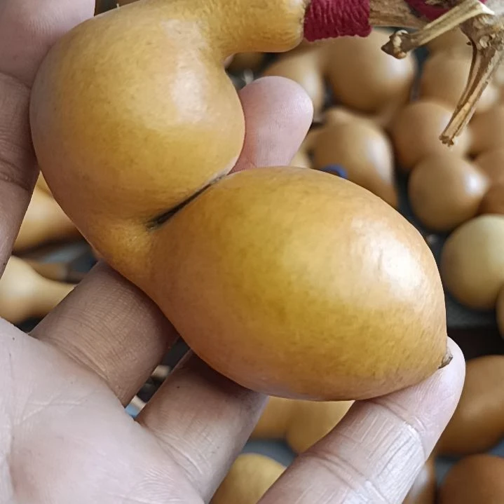 葫芦好看葫芦，我找下哈，我