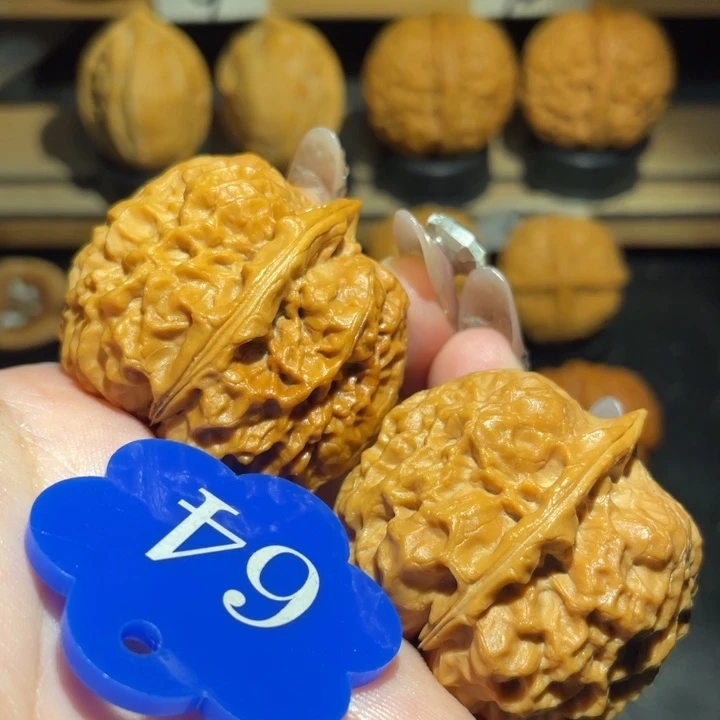 烈焰铠甲40尺寸核桃
