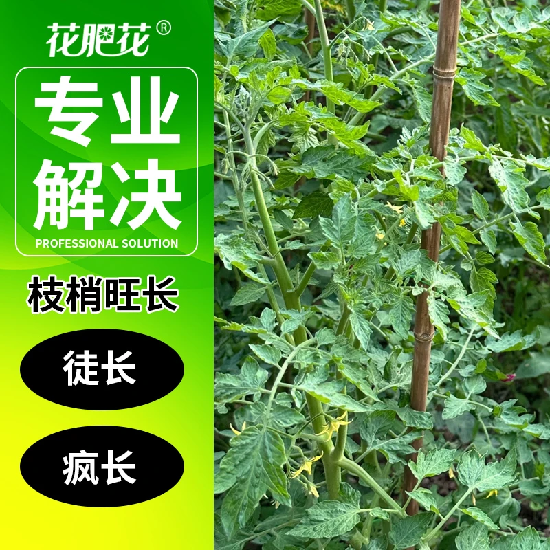 花肥花控旺控稍控秧保花保果高磷果树高钾法控K18促控剂蔬菜瓜果