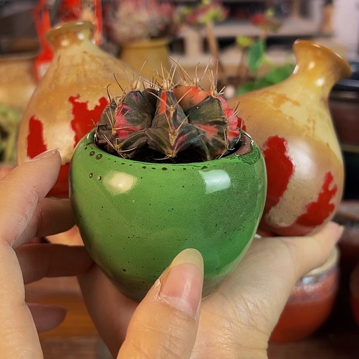 景德镇陶瓷2单包邮婳*