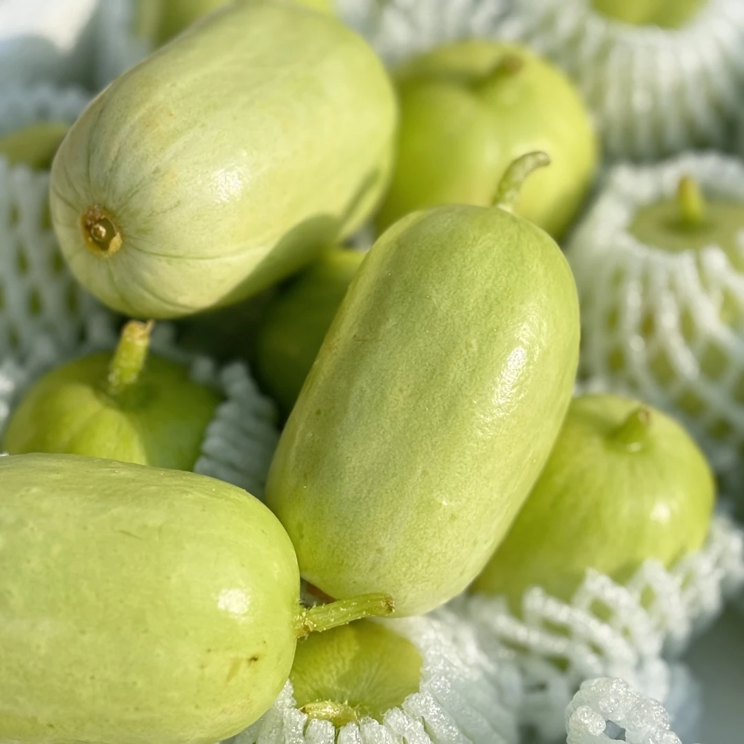 拇指黄瓜 5斤左右 口感清甜 鲜嫩脆爽 多吃无负担【只发河南】