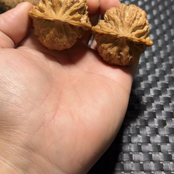 木质类苹果园狮子头