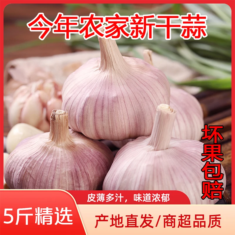 [2025新干蒜]今年农家自种干蒜头大蒜头新鲜自然晾晒辛辣提香蔬菜