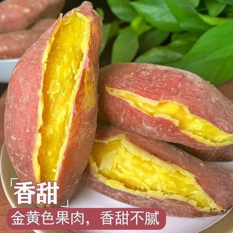 【婷猫儿专属】红薯2.5kg