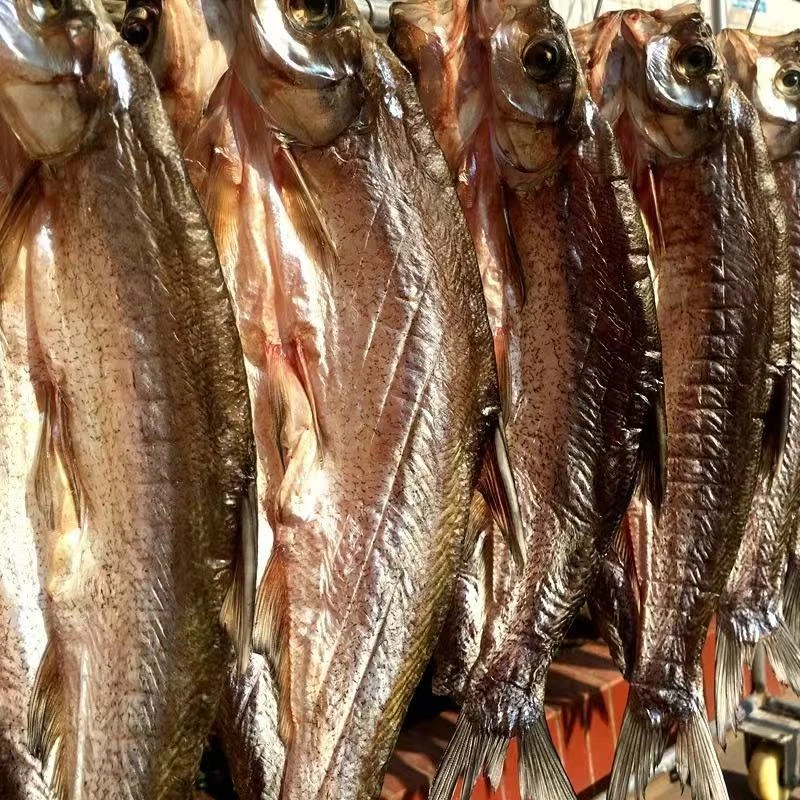 湖北襄阳特产风干大白刁翘嘴鱼纯手工腌制自然风干