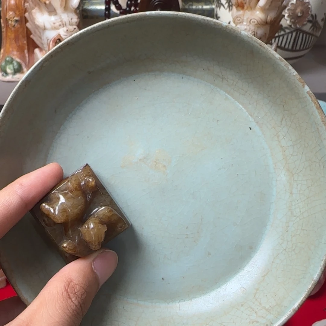 瓷片正在直播中的小