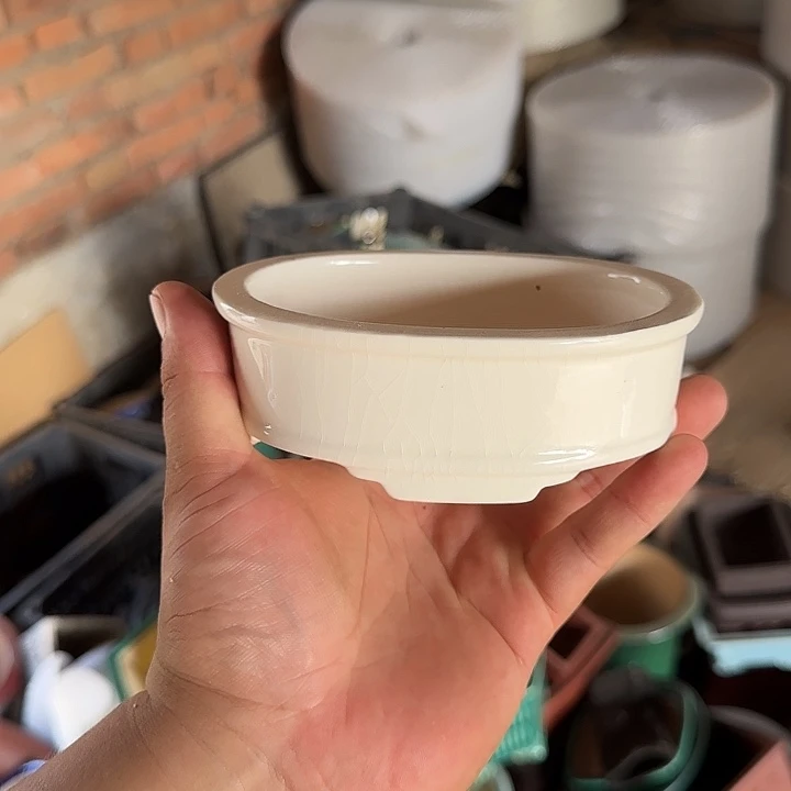 你说了就可以啊嘛你不是