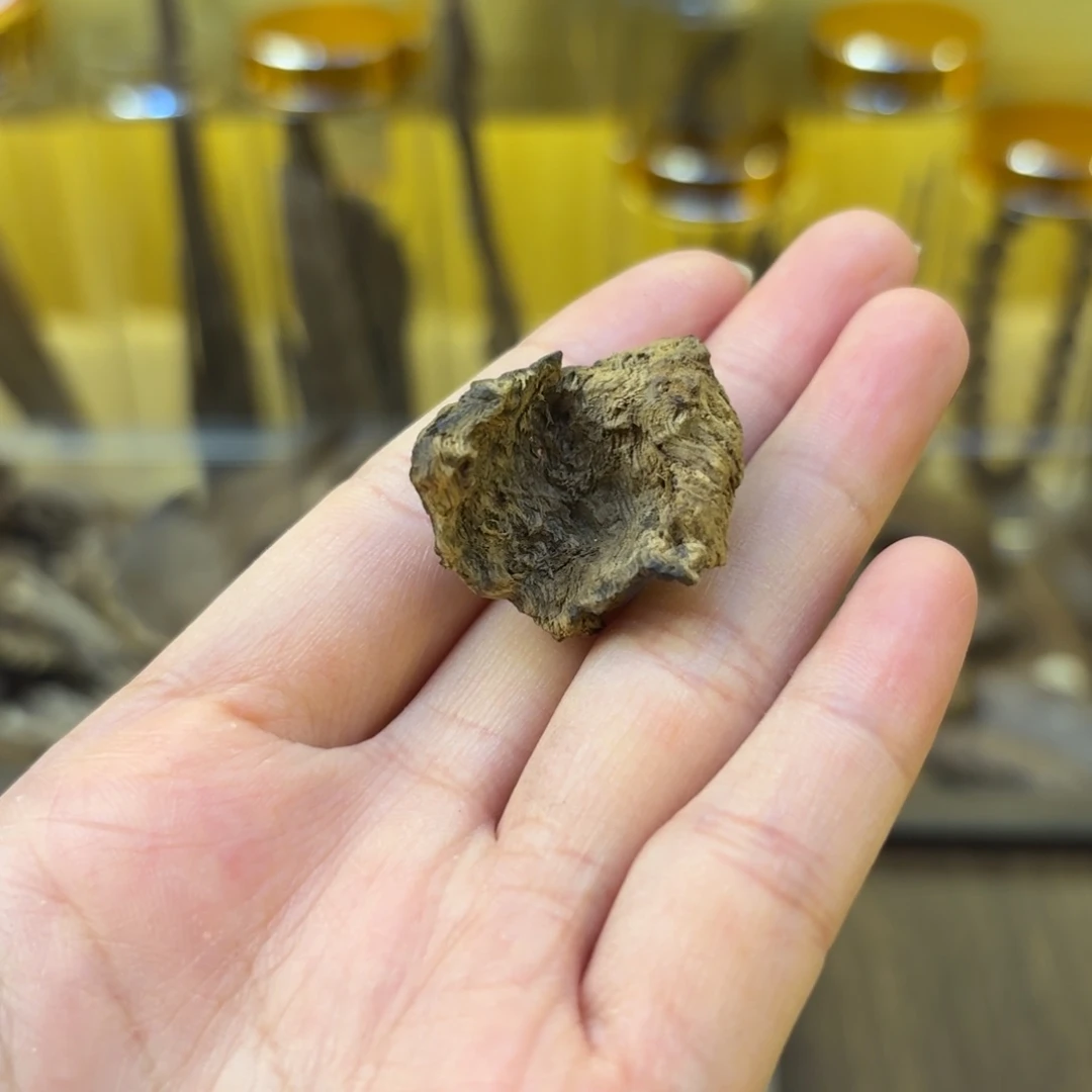 芽庄沉水包头纽结料1.88