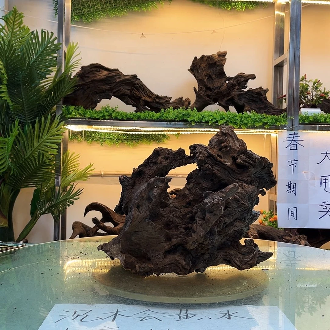 柚木云**风沉木鱼缸造景