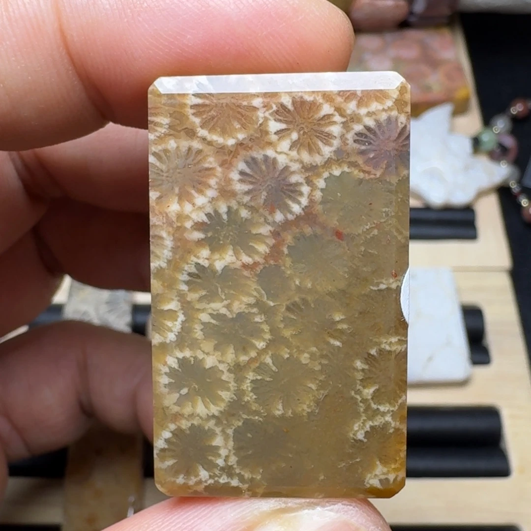 未镶嵌纯天然色有机玉石保真色硅化玉
