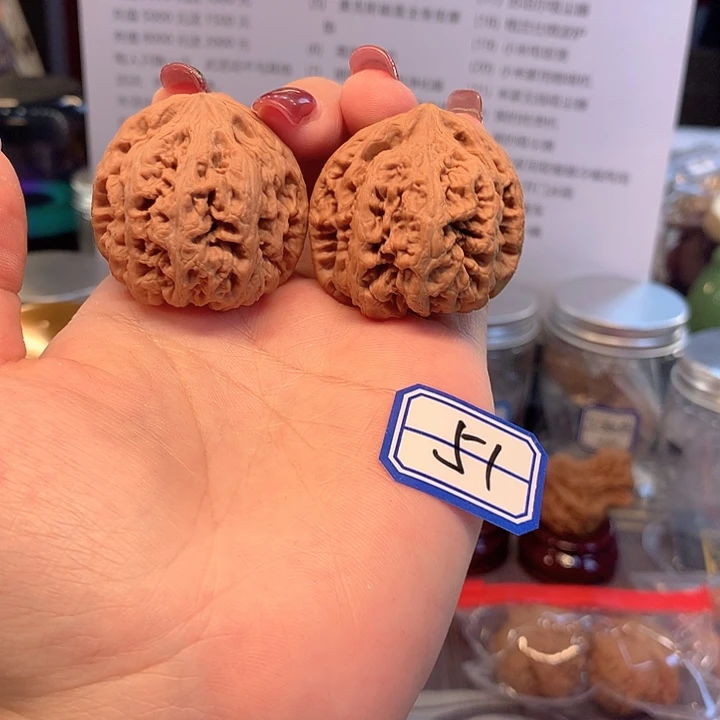 木质类粗筋40尺寸