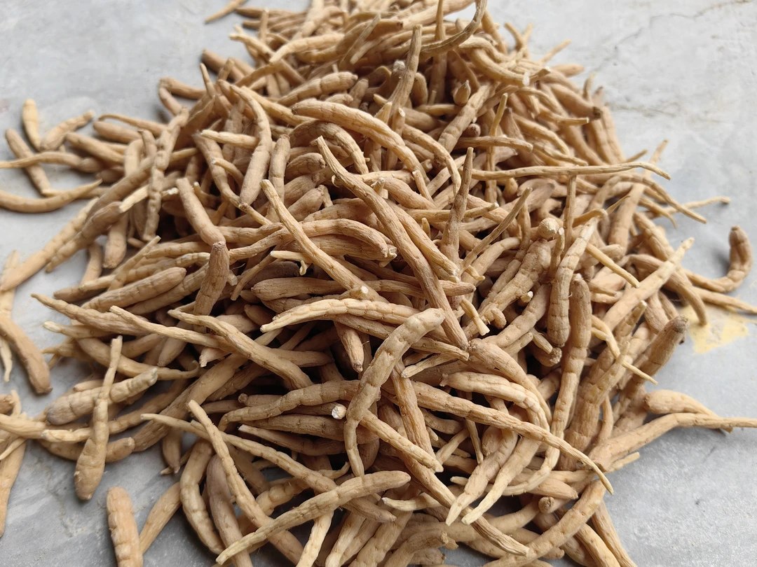 土特产≈[≈太≈]非香菇