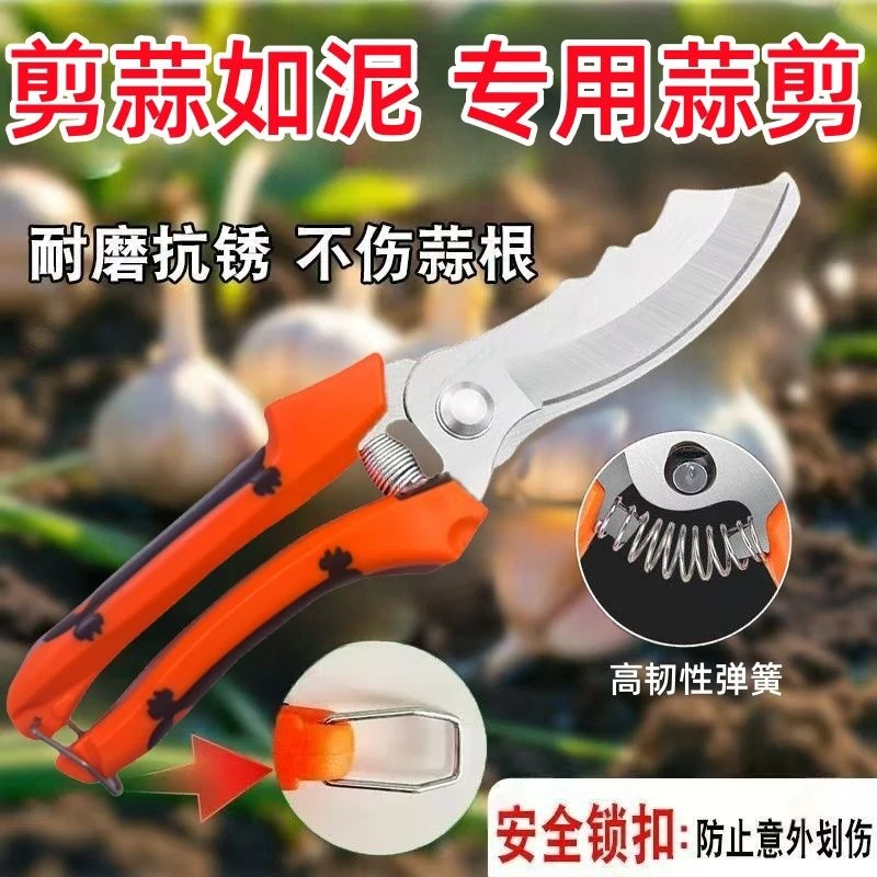 大蒜剪刀专用剪蒜根剪蒜头剪大蒜剪蒜胡农用大葱生姜洋葱园艺剪子