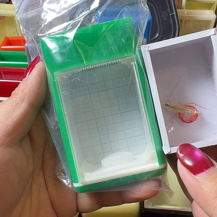 小***虎蟋蟀哈哈哈哈哈哈哈哈哈