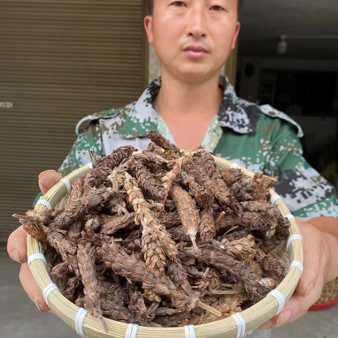 夏苦球 河南夏苦球 夏苦花大山采摘非种植 夏枯草的花