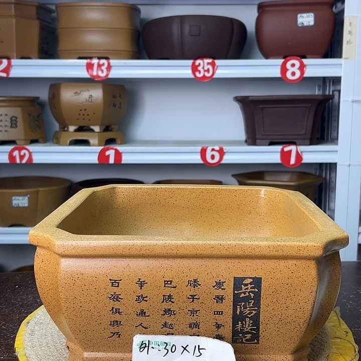 花盆紫砂你在一起