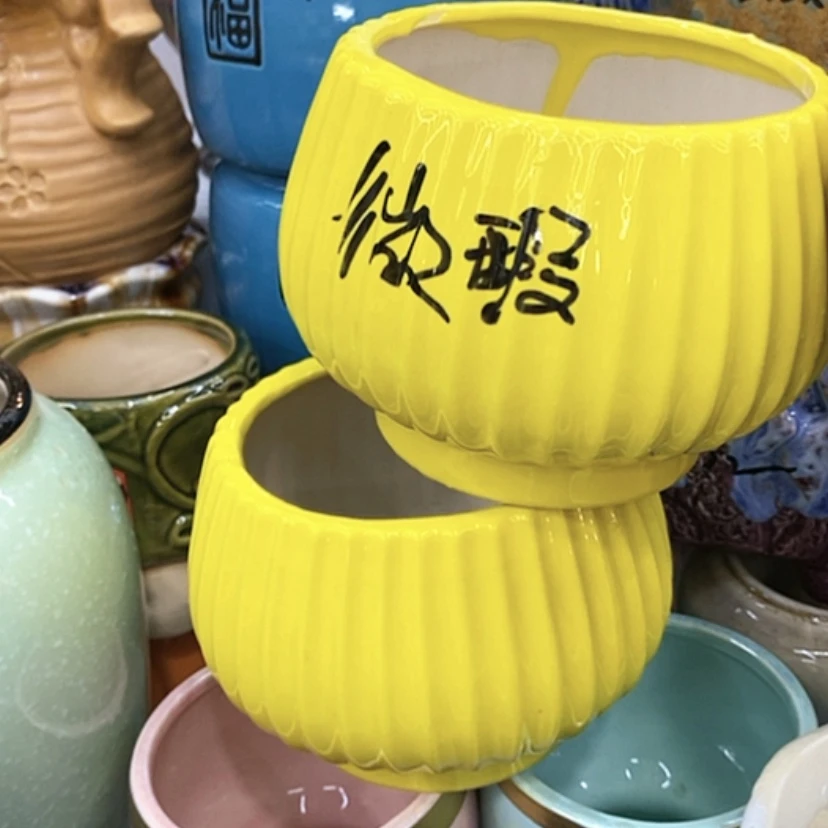 【闪购商品】福利花盆9:99包邮