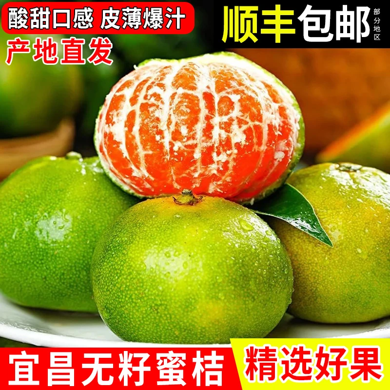 【顺丰包邮】宜昌青皮蜜桔酸甜多汁新鲜当季时令水果柑橘子整箱