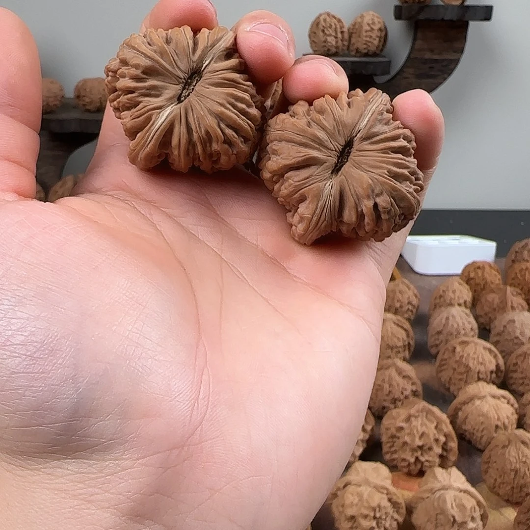 核桃全品肌肉红拱桥楼