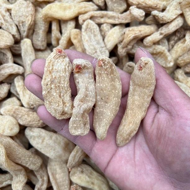 云南山货无硫天麻煲汤佳品可磨粉切片