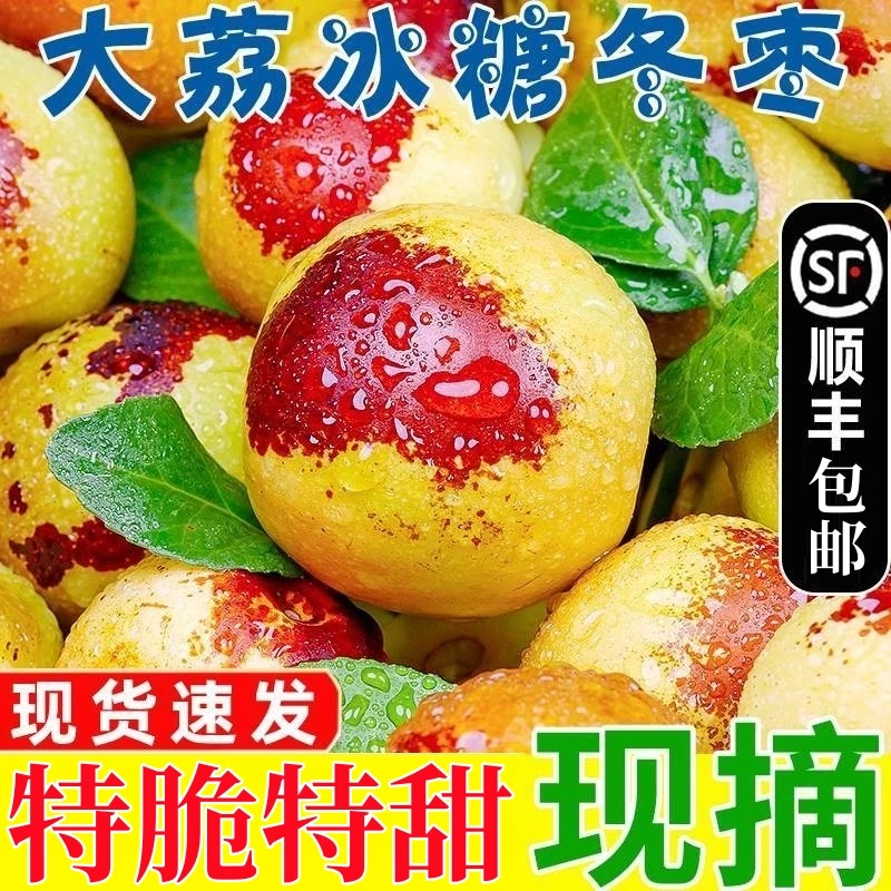 正宗陕西大荔新鲜冬枣鲜枣脆枣水果应当季爆甜大枣子礼盒顺丰
