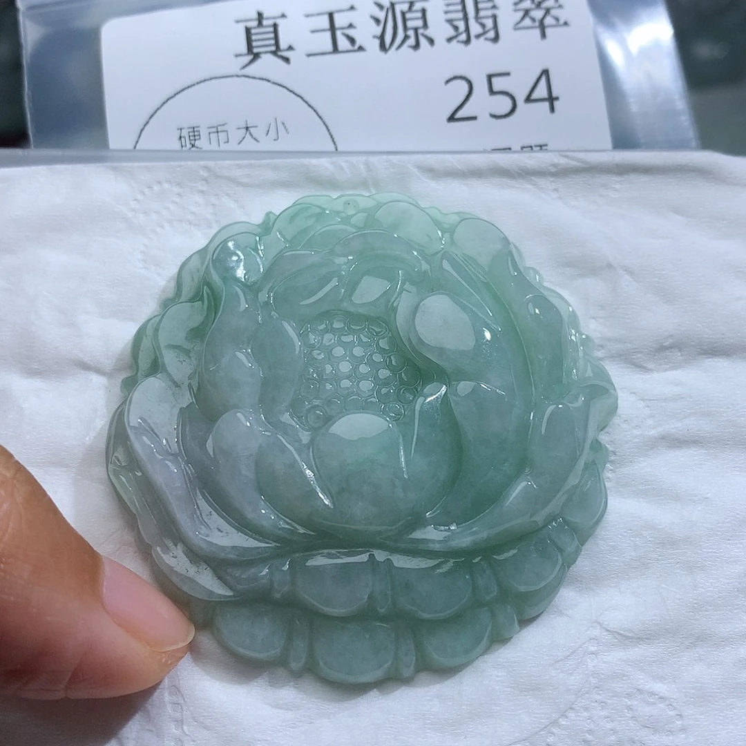 翡翠未镶嵌颈饰254
