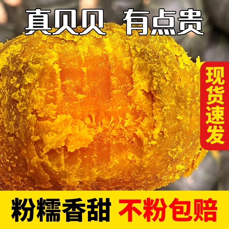 正宗老贝贝头茬南瓜