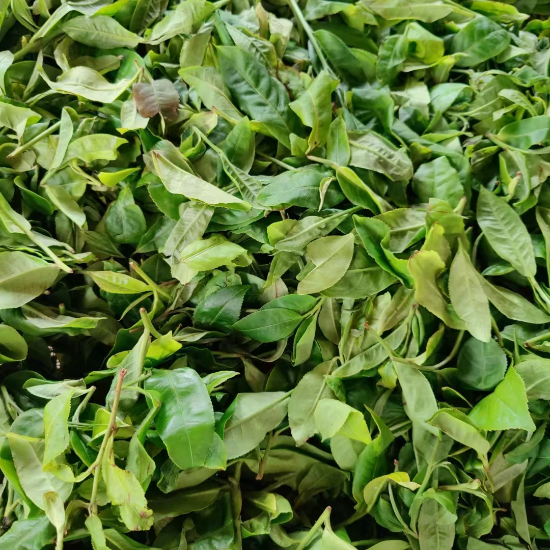 2025春【那罕】30克 普洱茶 散茶