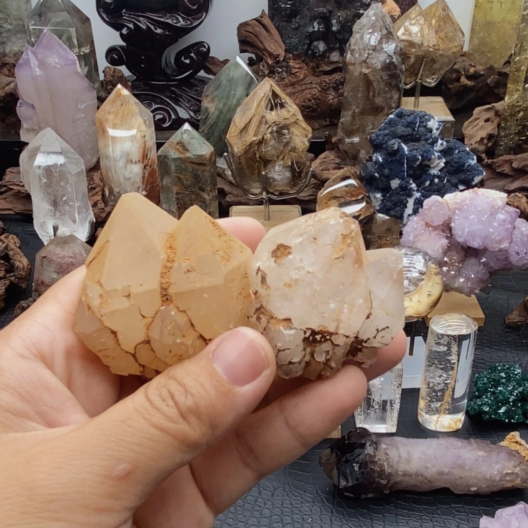 石材骸骨福利包邮t1