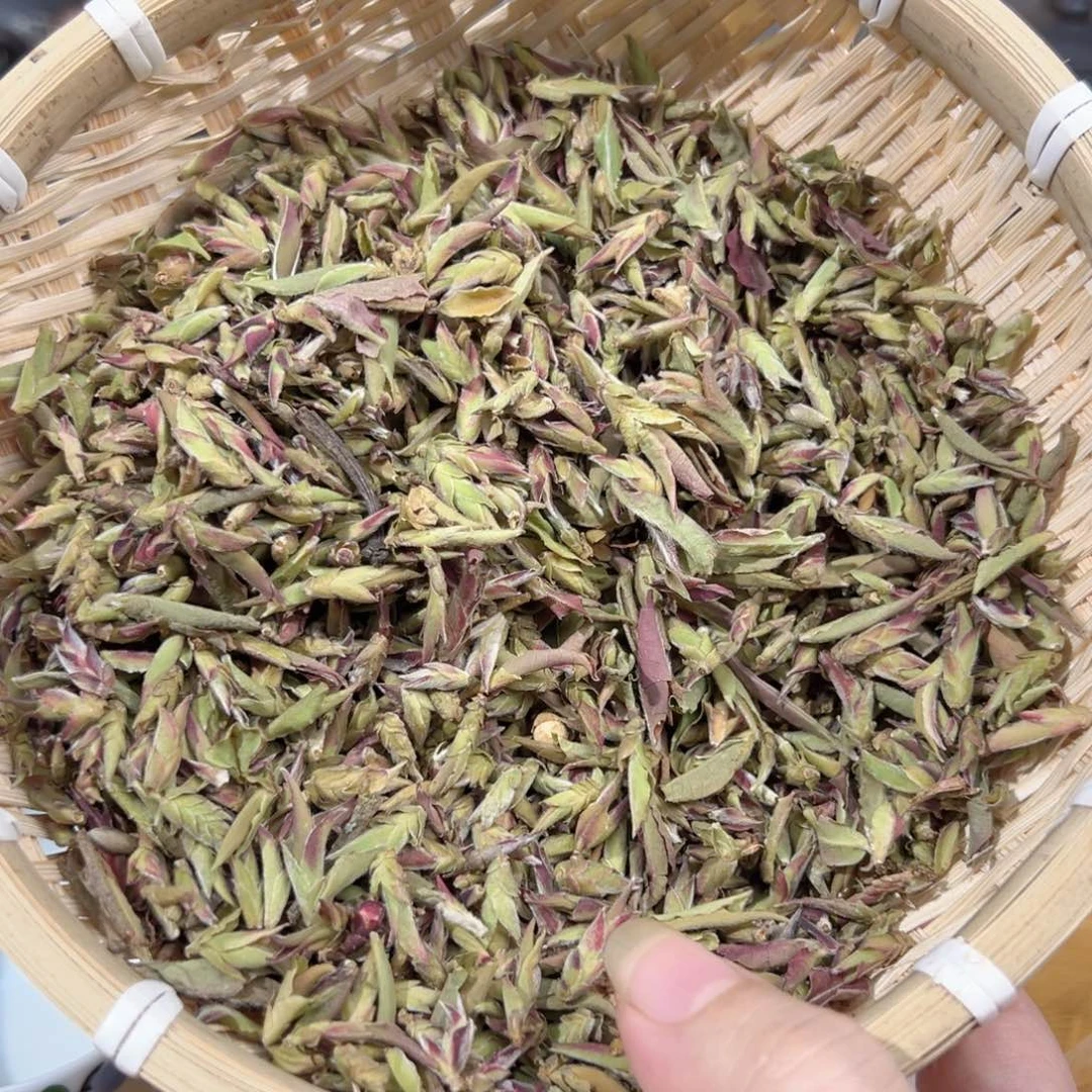 壶5号白云推荐推荐
