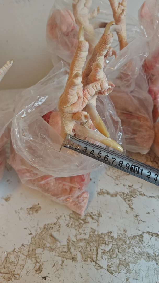 五年左右老公鸡净重约5.1左右可挑选满意后再发货 包冰率不含冰