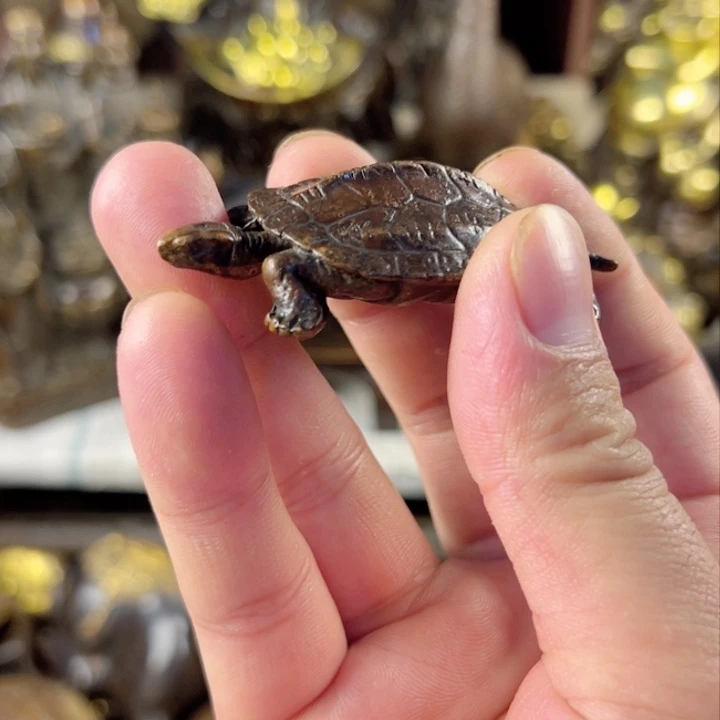 创意设计制作工艺