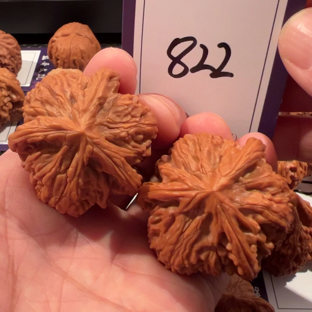 文玩核桃把件全品御龙粗筋41尺寸822号