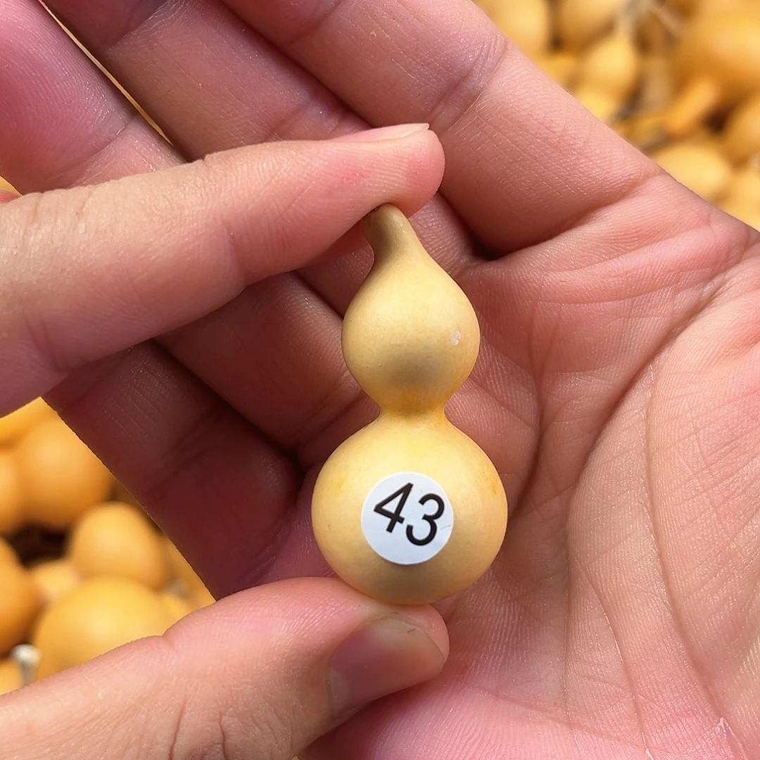 五葫芦葫芦葫芦葫芦43