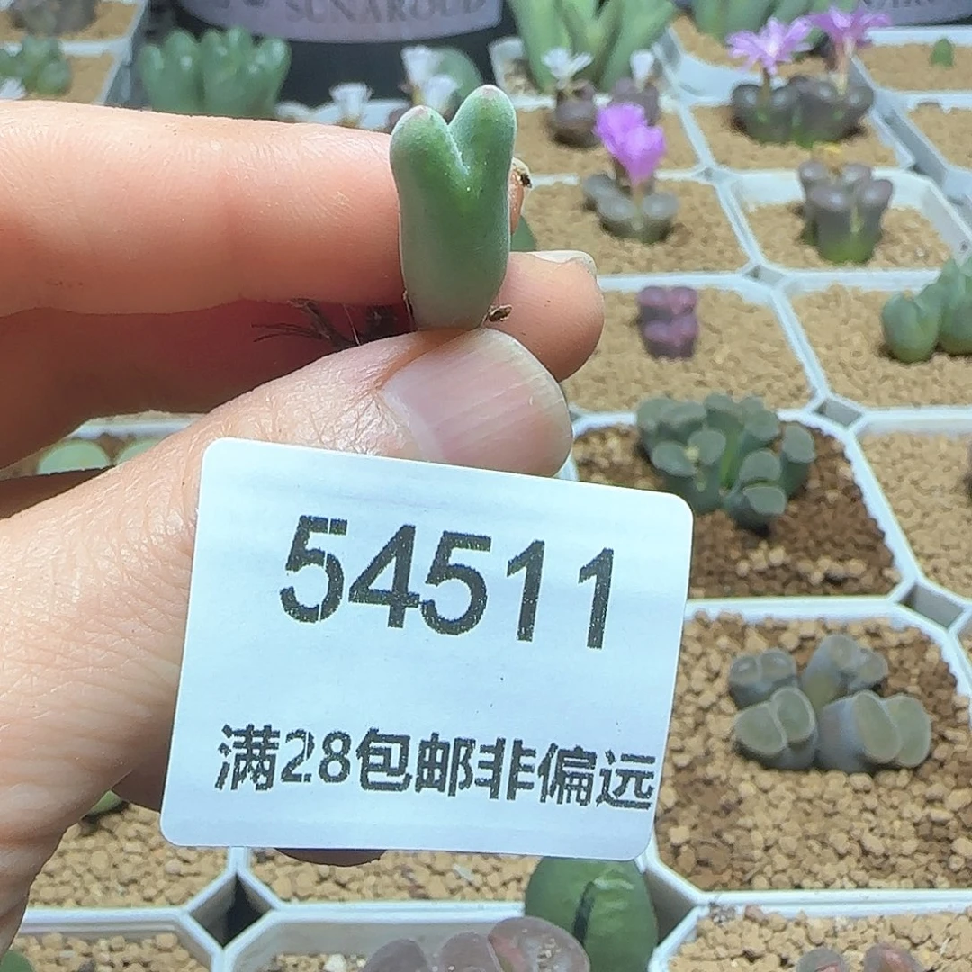 朕***妃哈哈哈哈哈哈哈哈哈哈哈54511