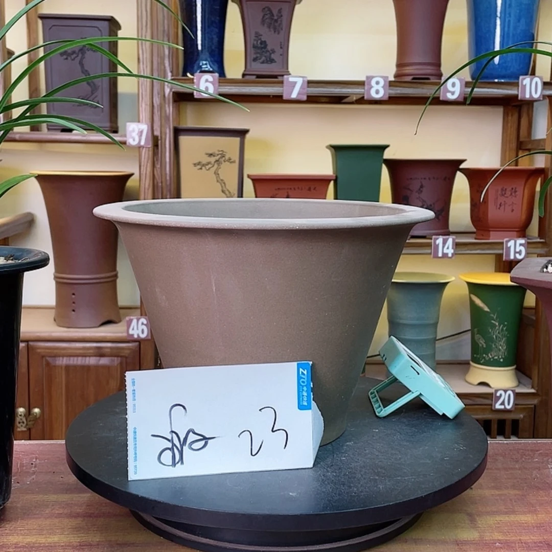 【闪购商品】紫砂花盆兰花5556655526666555