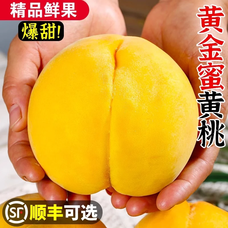 黄桃新鲜水果山东蒙阴黄金蜜桃炎陵锦绣当季黄毛桃整箱
