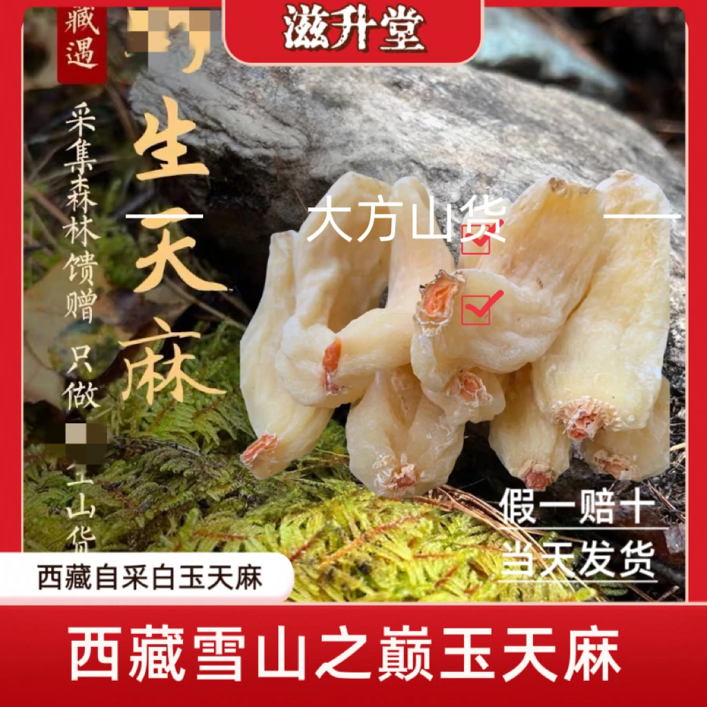 雪域之巅白玉天麻西藏林芝海拔3000米玉天麻250克起非可配当归