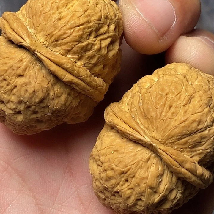 把件文玩核桃云南铁核桃11
