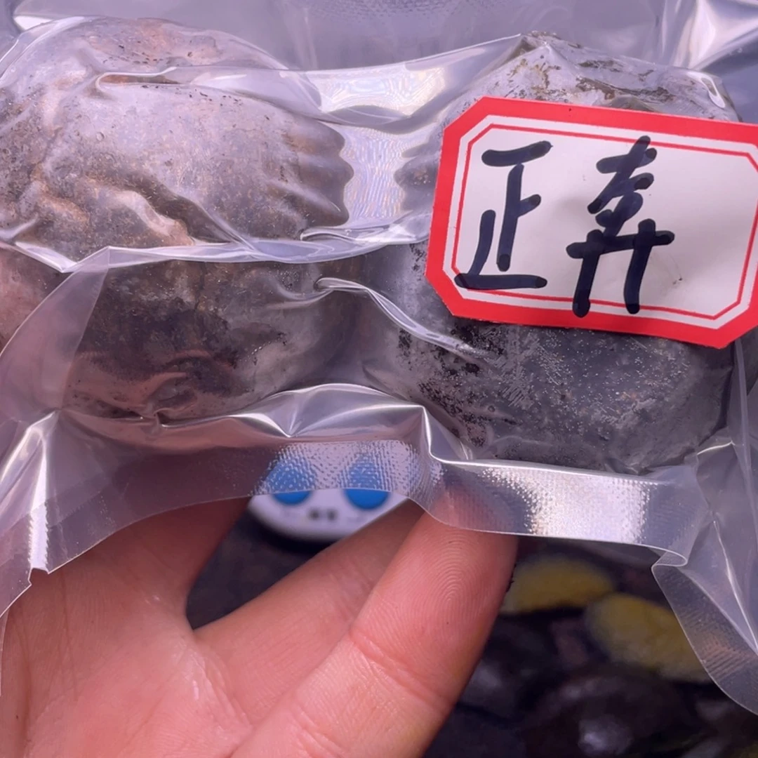 山****把件文玩核桃文玩任赵