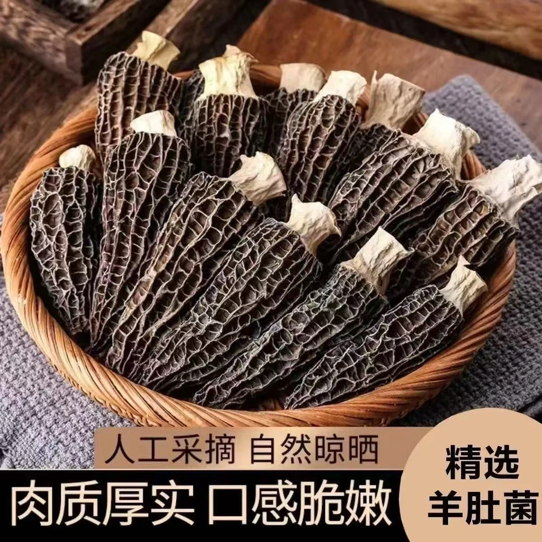 正宗干羊肚菌-2025新货（精品-高品质）头茬羊肚菌-高山林地